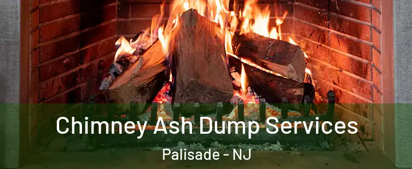 Chimney Ash Dump Services Palisade - NJ
