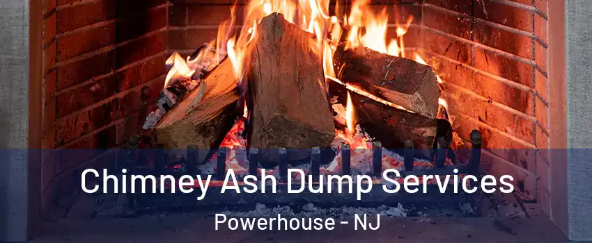 Chimney Ash Dump Services Powerhouse - NJ