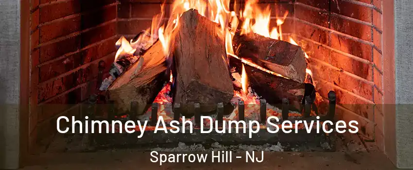 Chimney Ash Dump Services Sparrow Hill - NJ