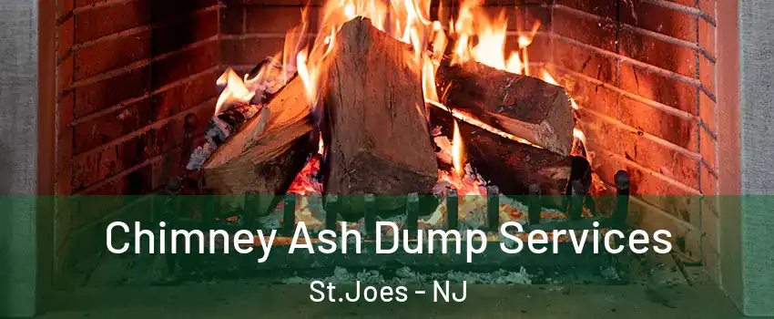 Chimney Ash Dump Services St.Joes - NJ