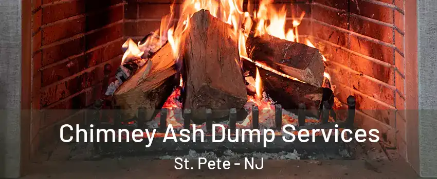 Chimney Ash Dump Services St. Pete - NJ