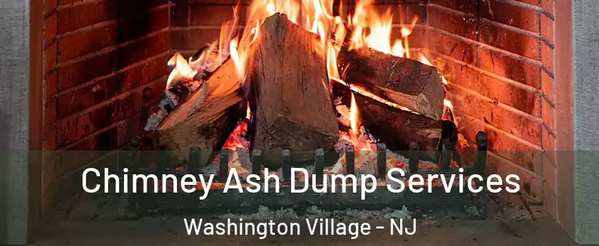 Chimney Ash Dump Services Washington Village - NJ