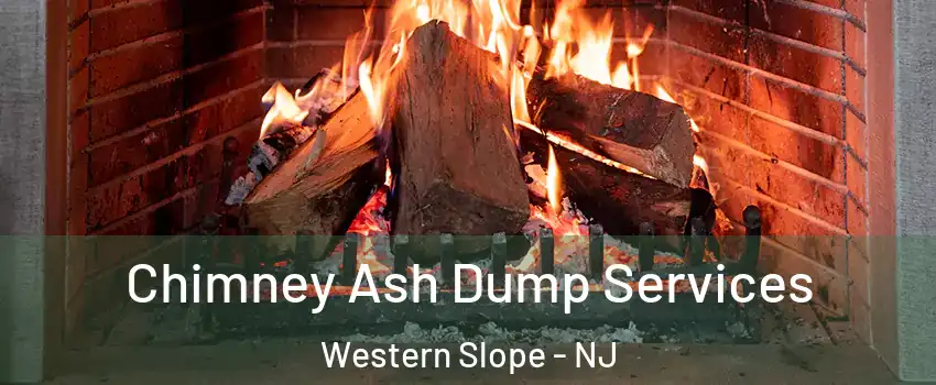 Chimney Ash Dump Services Western Slope - NJ