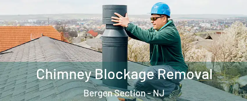Chimney Blockage Removal Bergen Section - NJ