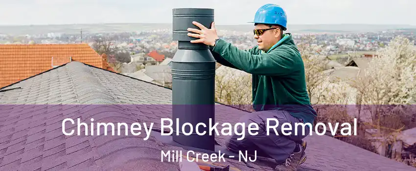 Chimney Blockage Removal Mill Creek - NJ
