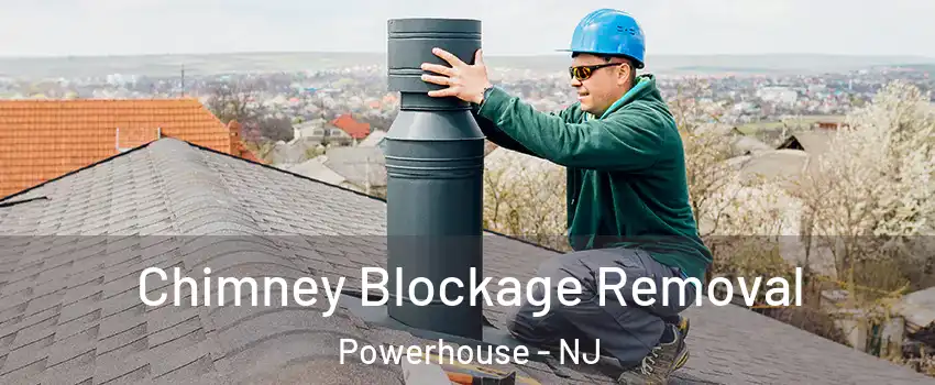 Chimney Blockage Removal Powerhouse - NJ