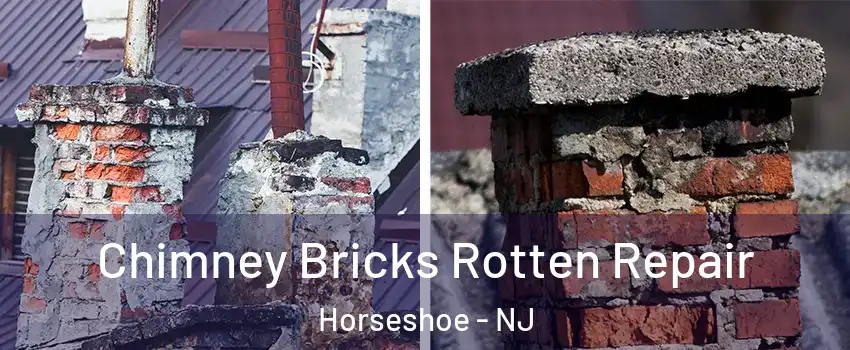 Chimney Bricks Rotten Repair Horseshoe - NJ