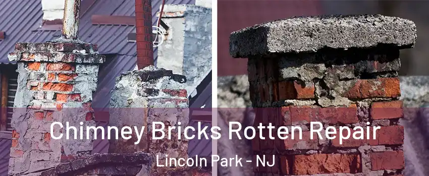 Chimney Bricks Rotten Repair Lincoln Park - NJ