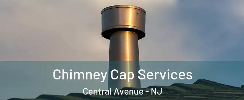 Chimney Cap Services Central Avenue - NJ