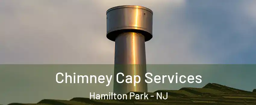 Chimney Cap Services Hamilton Park - NJ