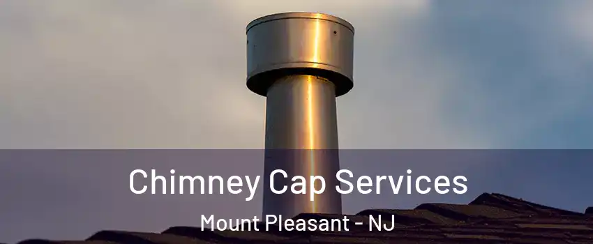 Chimney Cap Services Mount Pleasant - NJ