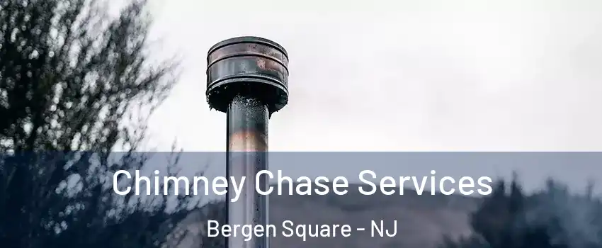 Chimney Chase Services Bergen Square - NJ