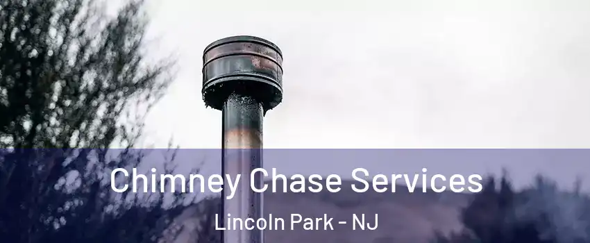 Chimney Chase Services Lincoln Park - NJ
