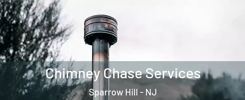Chimney Chase Services Sparrow Hill - NJ