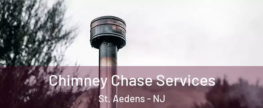 Chimney Chase Services St. Aedens - NJ
