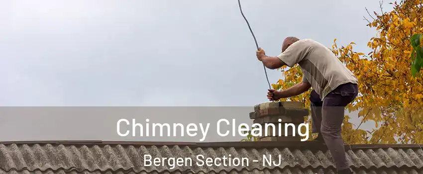 Chimney Cleaning Bergen Section - NJ