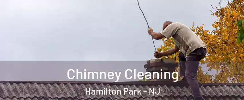 Chimney Cleaning Hamilton Park - NJ