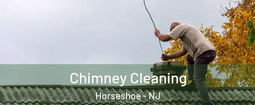 Chimney Cleaning Horseshoe - NJ