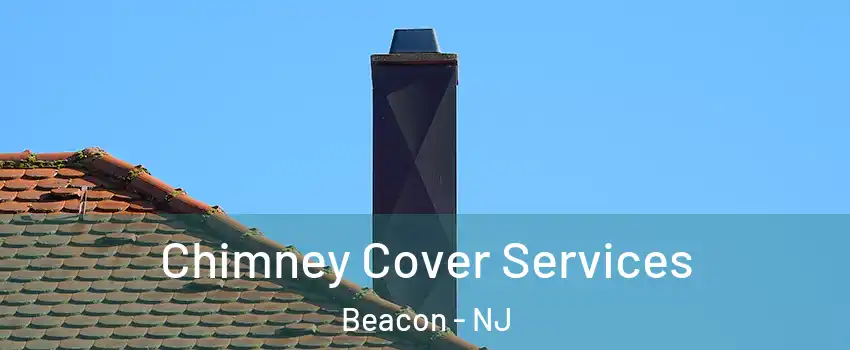 Chimney Cover Services Beacon - NJ