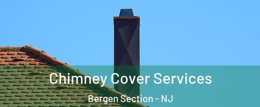 Chimney Cover Services Bergen Section - NJ