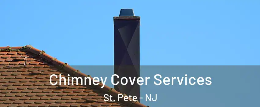 Chimney Cover Services St. Pete - NJ