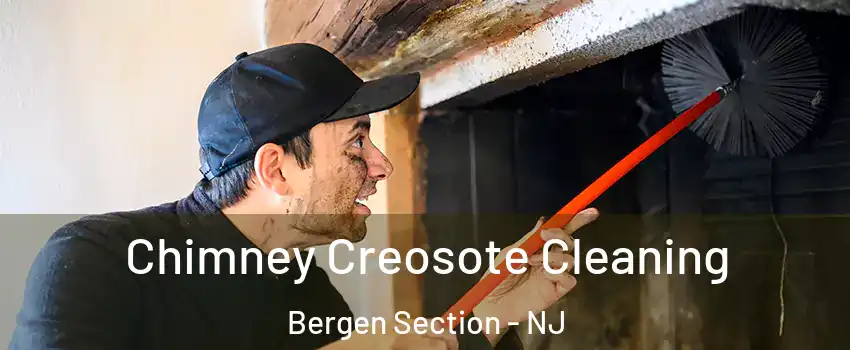 Chimney Creosote Cleaning Bergen Section - NJ