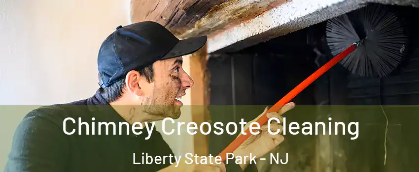 Chimney Creosote Cleaning Liberty State Park - NJ
