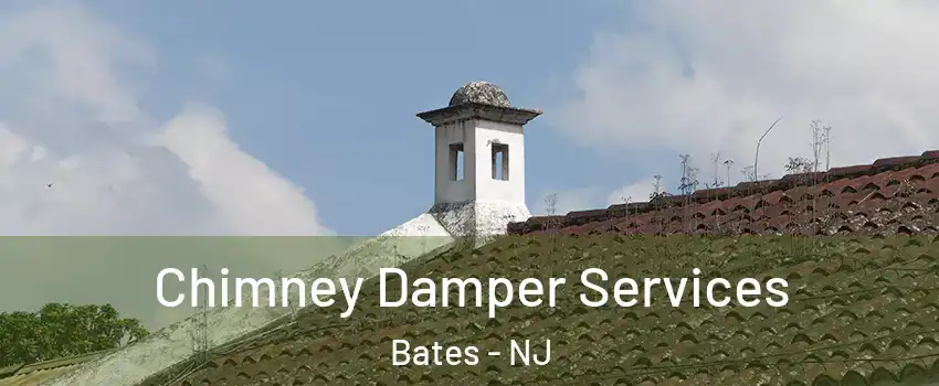 Chimney Damper Services Bates - NJ