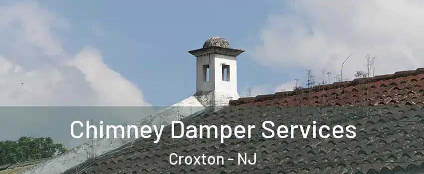 Chimney Damper Services Croxton - NJ