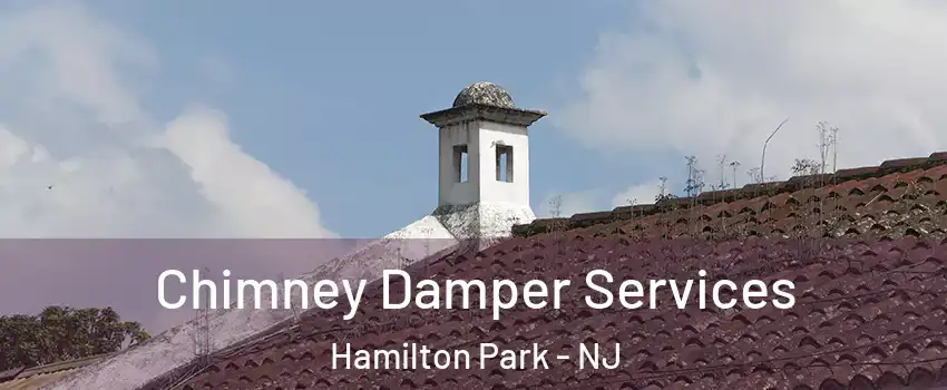 Chimney Damper Services Hamilton Park - NJ