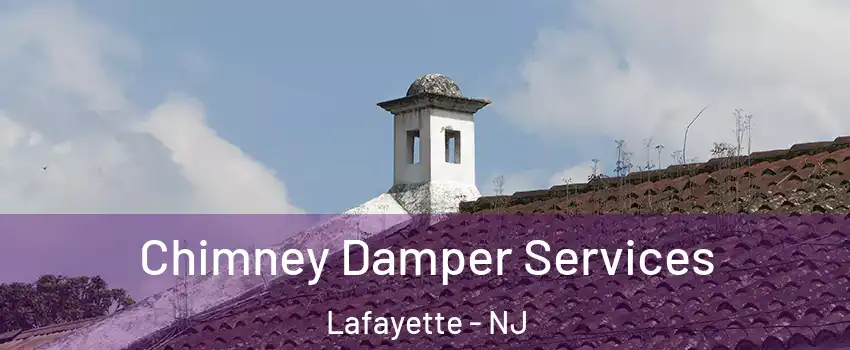 Chimney Damper Services Lafayette - NJ