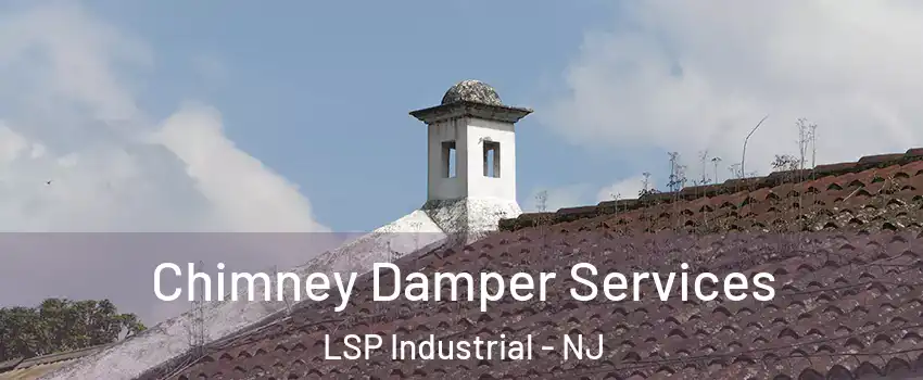 Chimney Damper Services LSP Industrial - NJ