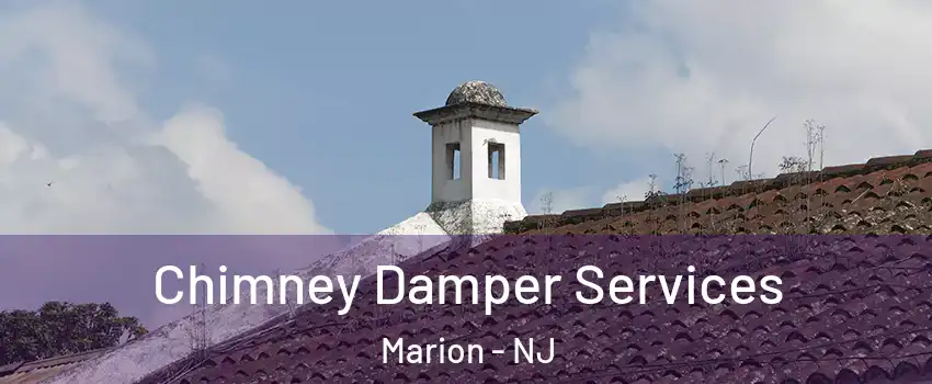 Chimney Damper Services Marion - NJ