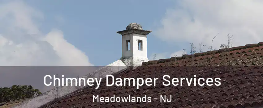 Chimney Damper Services Meadowlands - NJ