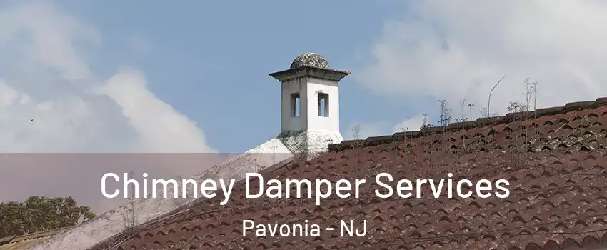 Chimney Damper Services Pavonia - NJ