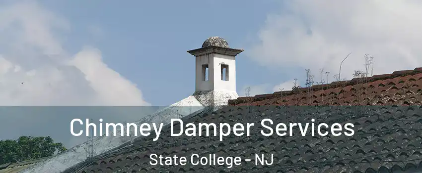 Chimney Damper Services State College - NJ