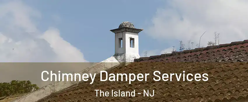 Chimney Damper Services The Island - NJ