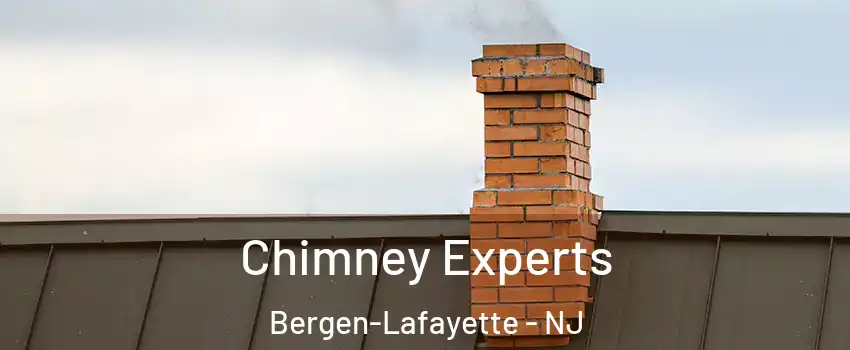 Chimney Experts Bergen-Lafayette - NJ