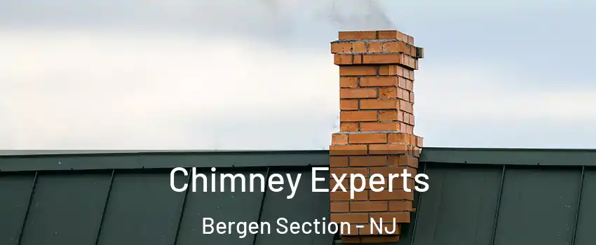 Chimney Experts Bergen Section - NJ