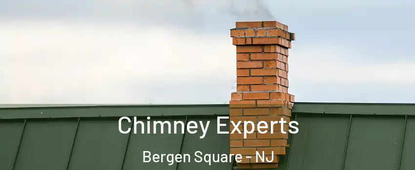 Chimney Experts Bergen Square - NJ