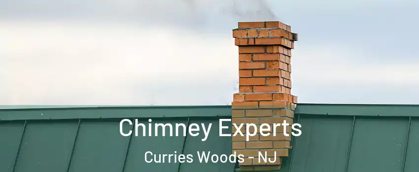 Chimney Experts Curries Woods - NJ