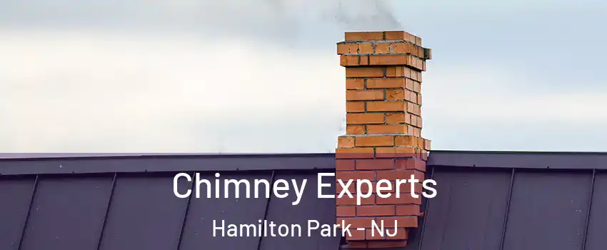 Chimney Experts Hamilton Park - NJ