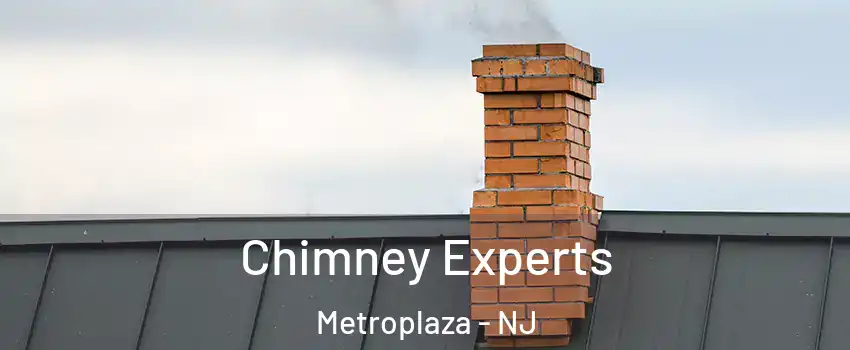 Chimney Experts Metroplaza - NJ