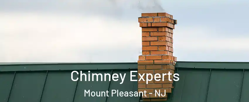 Chimney Experts Mount Pleasant - NJ
