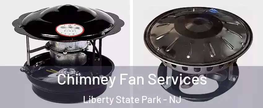 Chimney Fan Services Liberty State Park - NJ