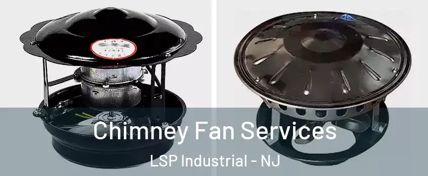 Chimney Fan Services LSP Industrial - NJ