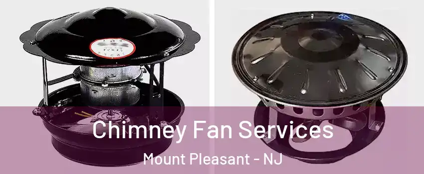 Chimney Fan Services Mount Pleasant - NJ