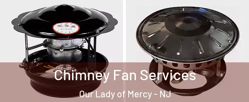 Chimney Fan Services Our Lady of Mercy - NJ