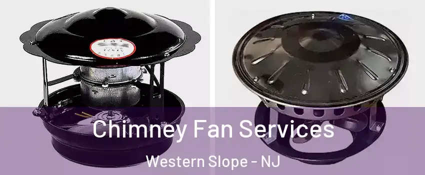 Chimney Fan Services Western Slope - NJ