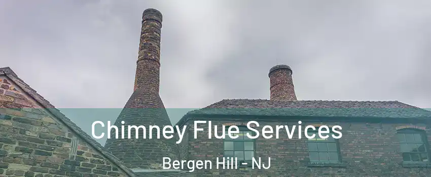 Chimney Flue Services Bergen Hill - NJ